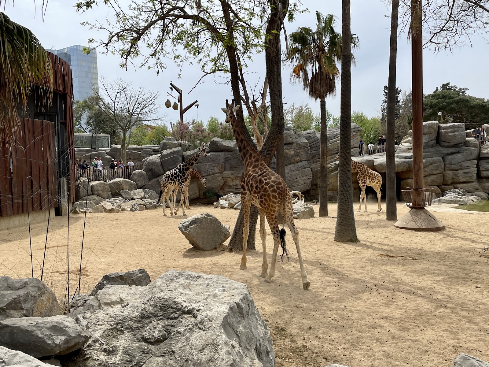 Parque Zoológico de Barcelona — Oficiais