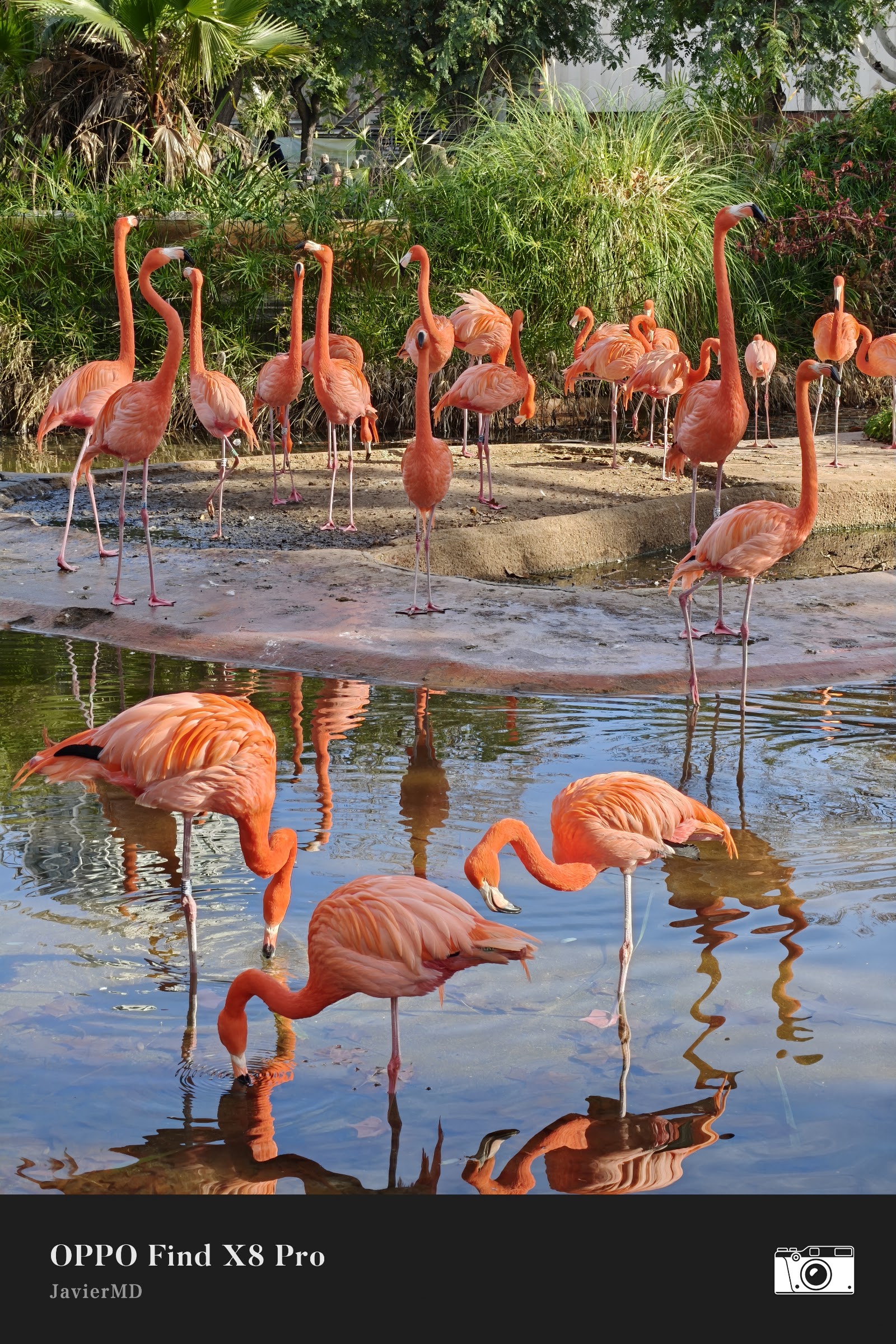 Parque Zoológico de Barcelona — Oficiais