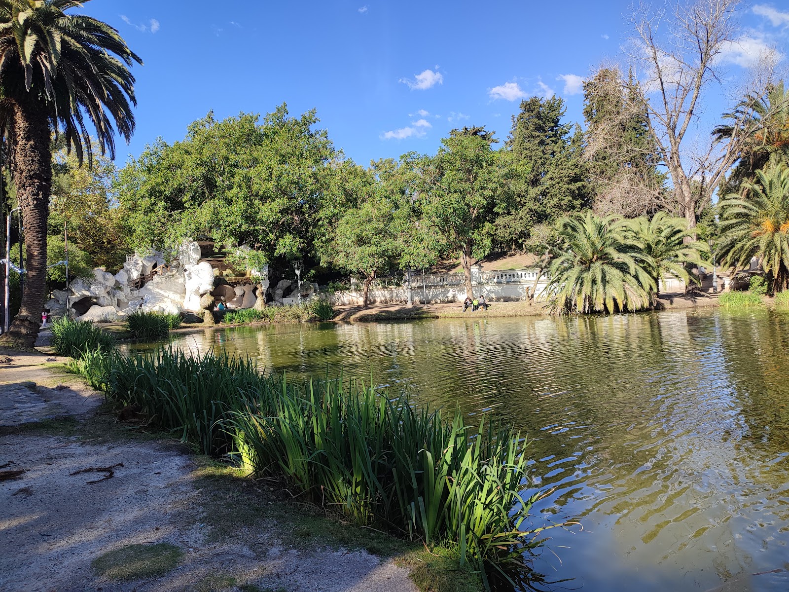 Paseo del Bosque