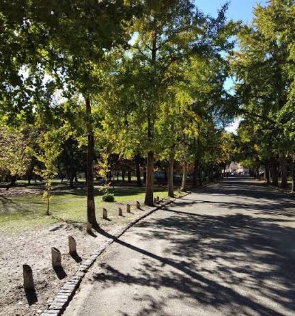 Paseo del Bosque — Oficiais