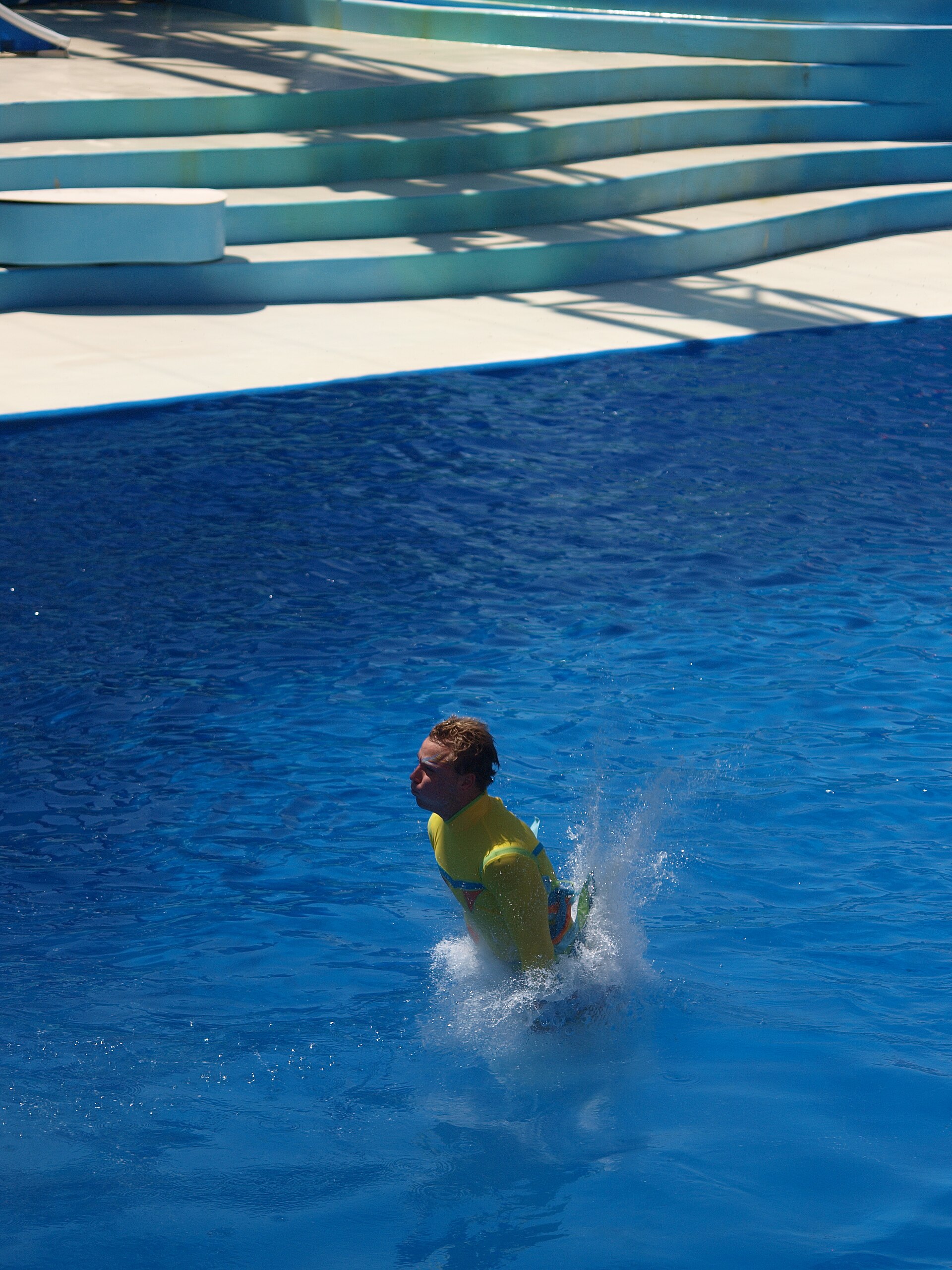 Pass Member Preview: Dolphins: Touch the Sky