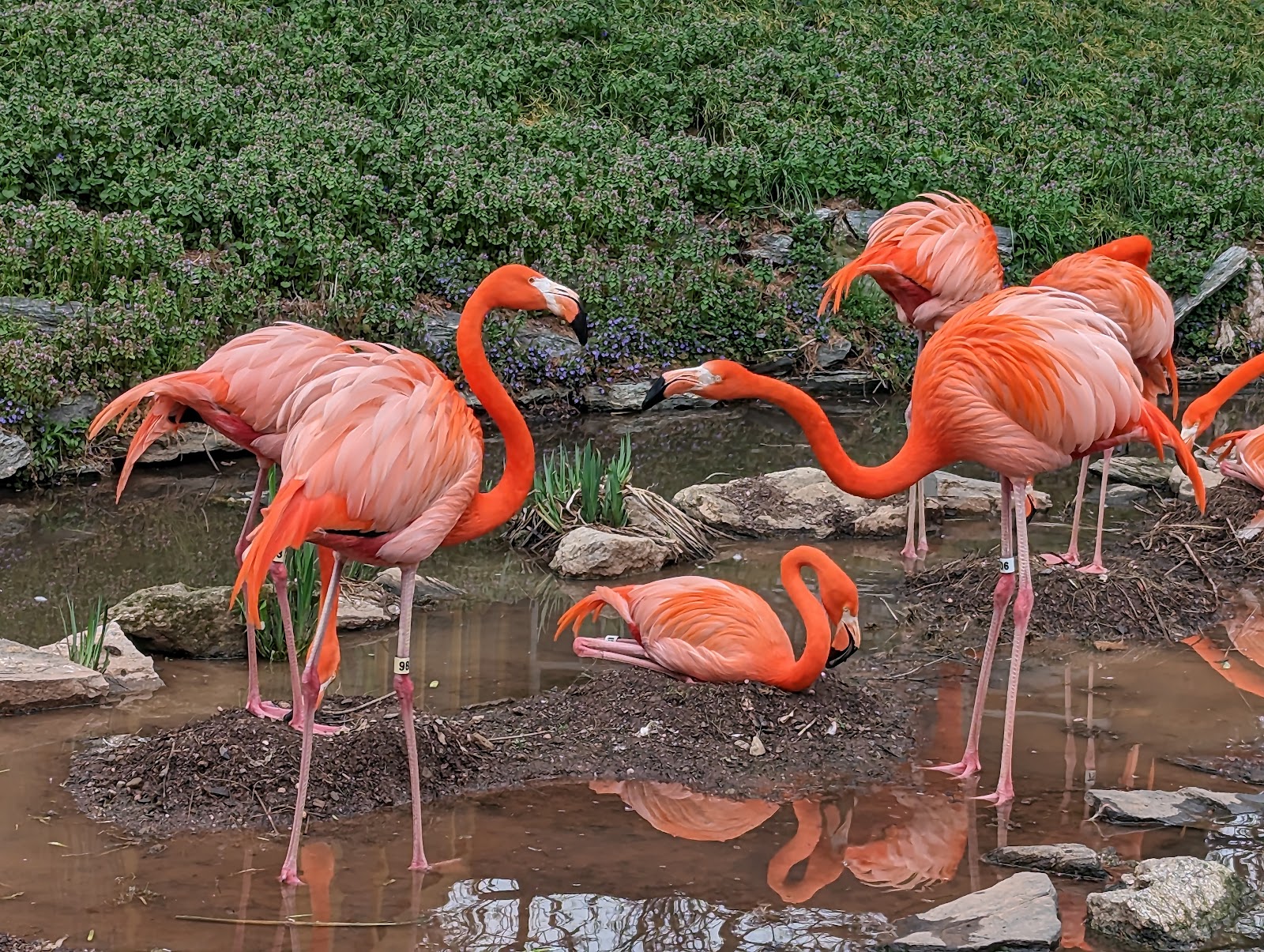Philadelphia Zoo — Oficiais