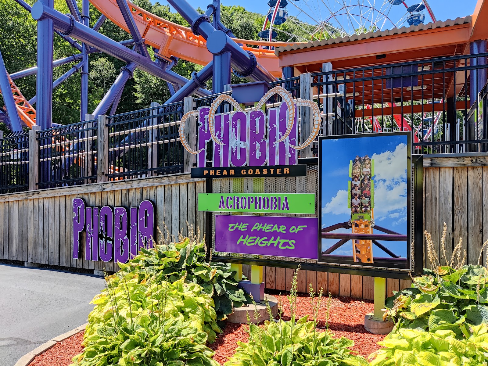 Phobia Phear Coaster — Oficiais