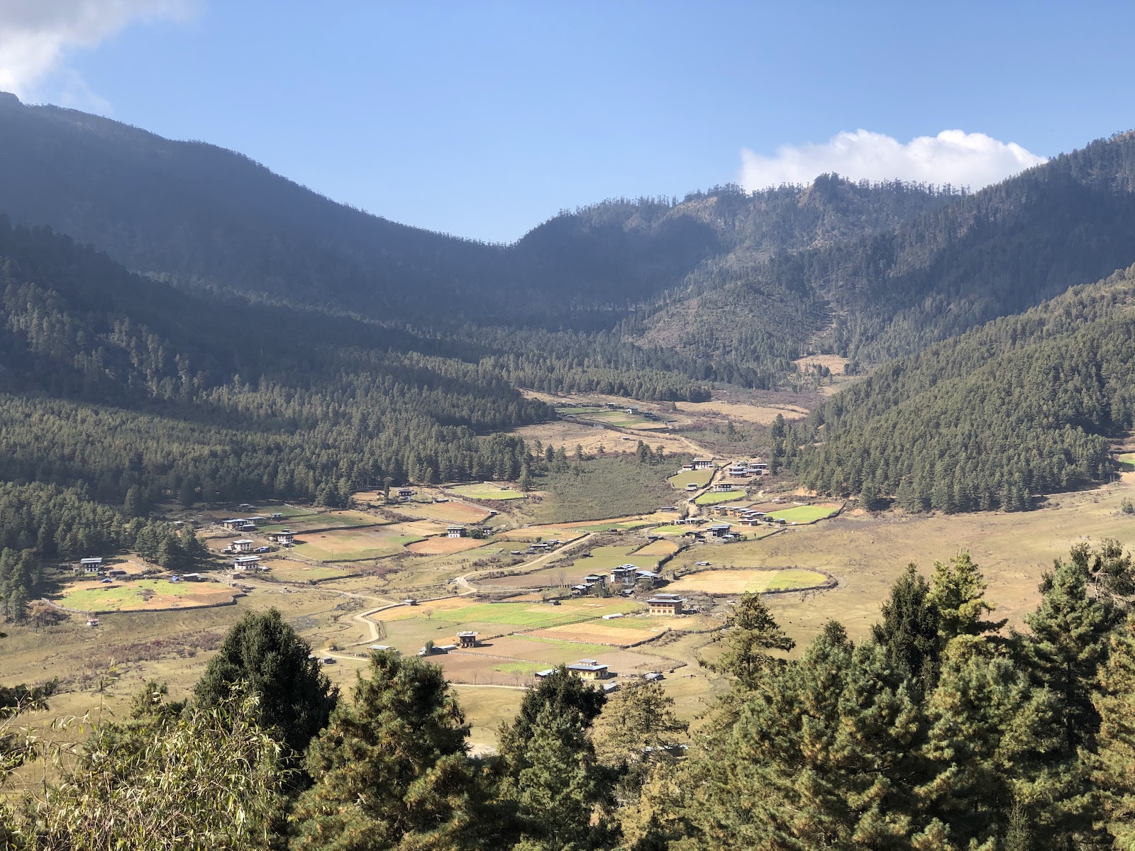 Phobjikha Valley — Oficiais