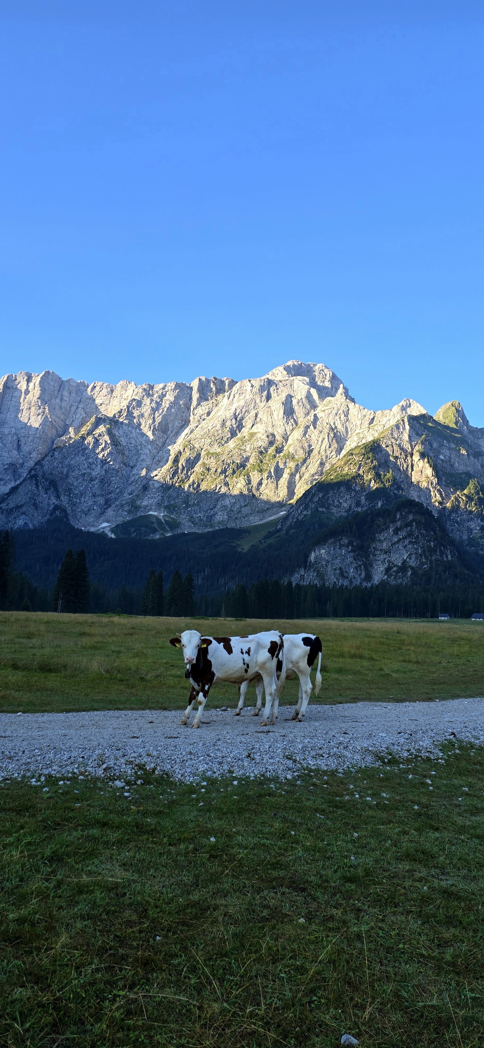 Picco di Mezzodì — Oficiais