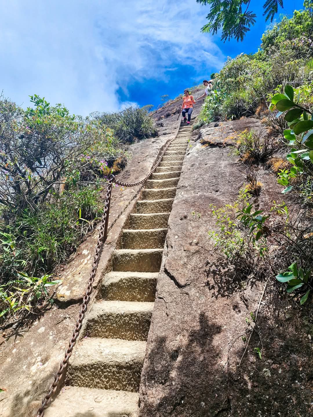 Pico da Tijuca