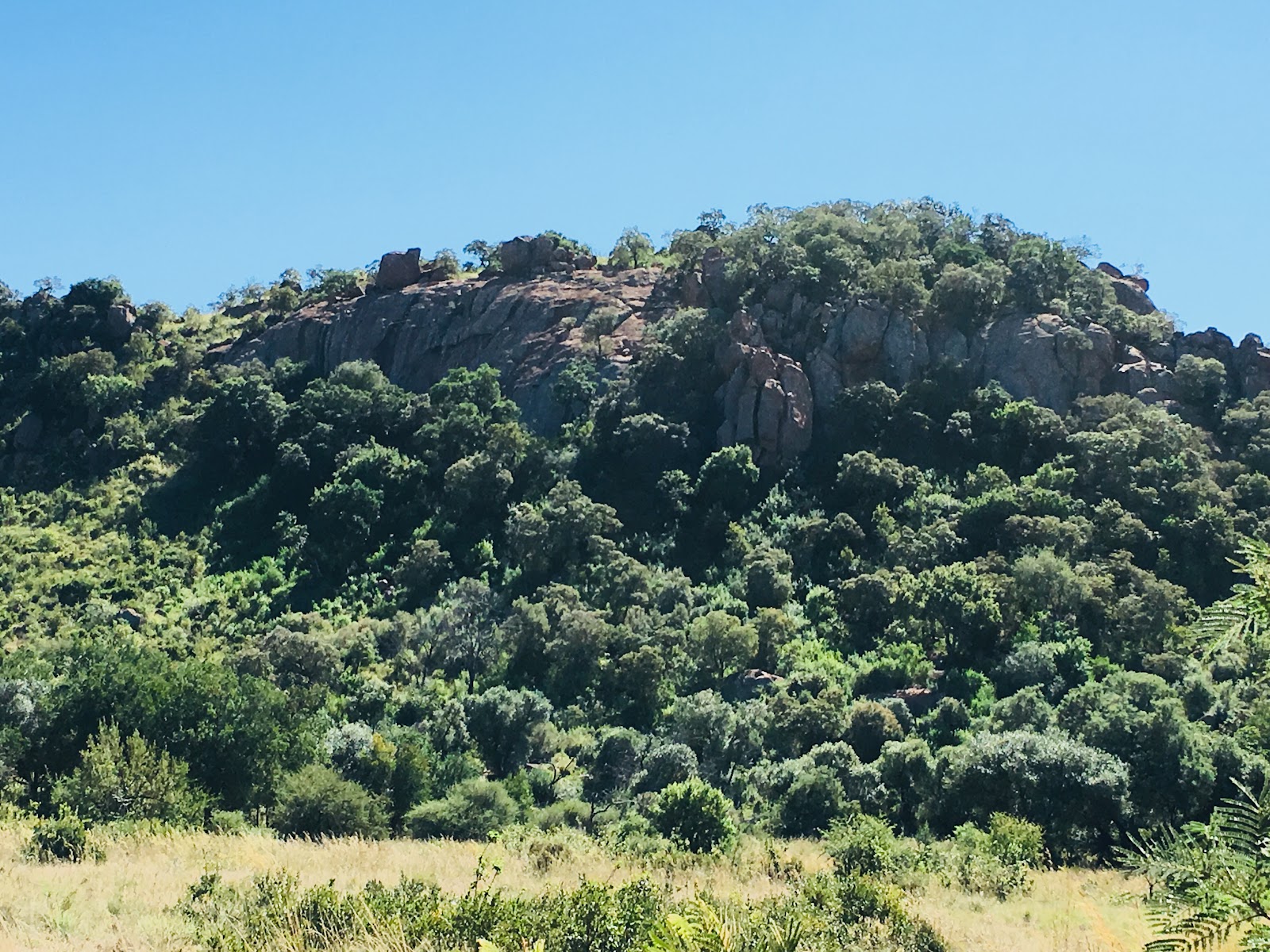 Pilanesberg Game Reserve — Oficiais