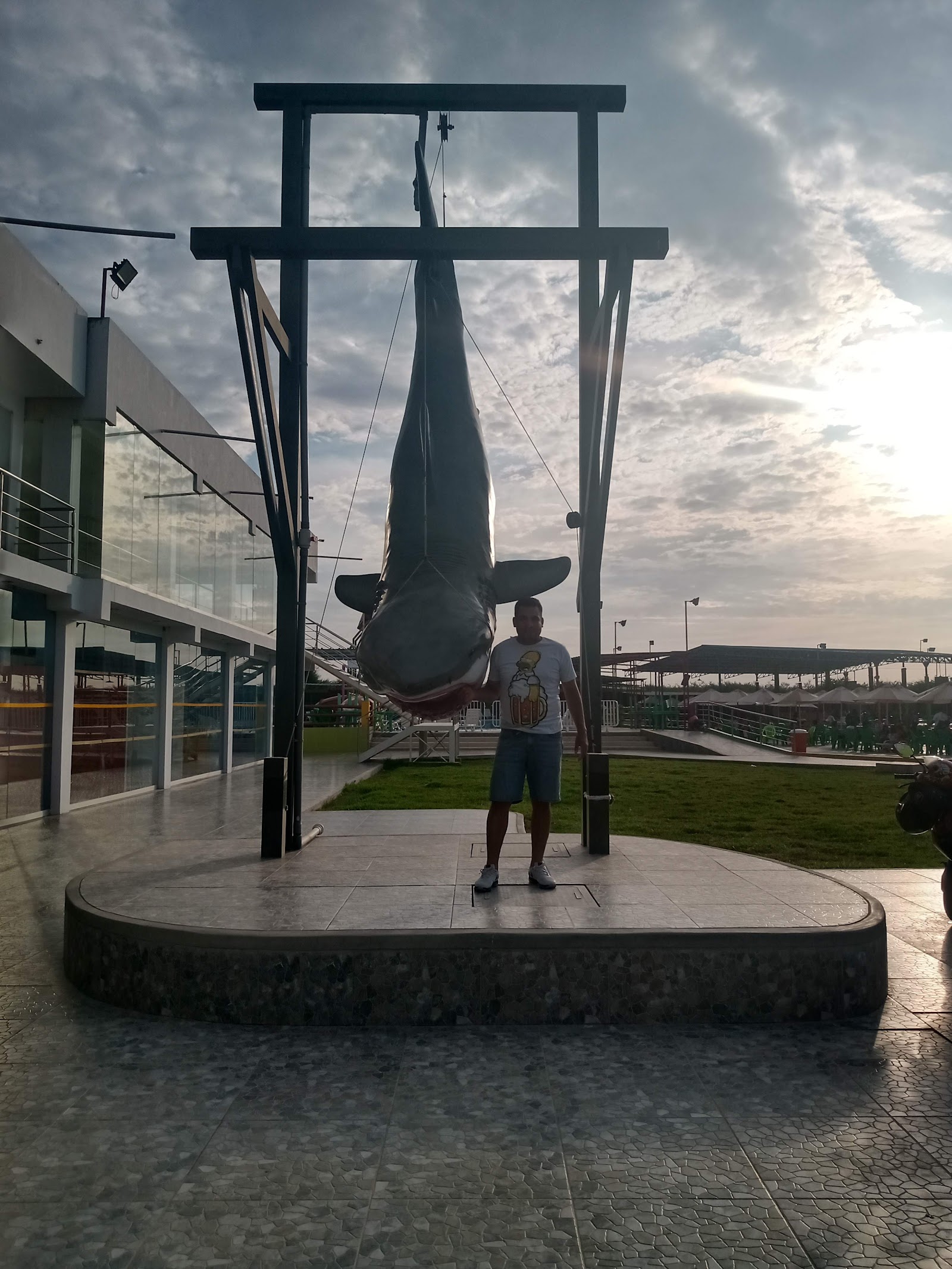 Piscina de Olas — Oficiais