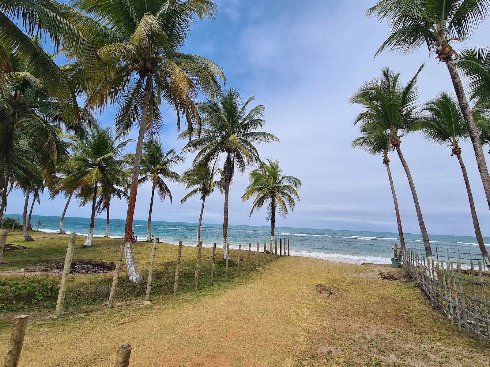 Piscinas naturais de Algodões — Oficiais
