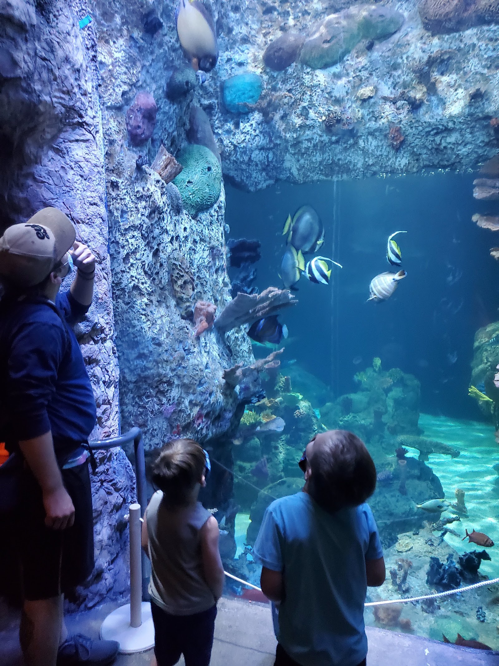 Point Defiance Zoo & Aquarium — Oficiais