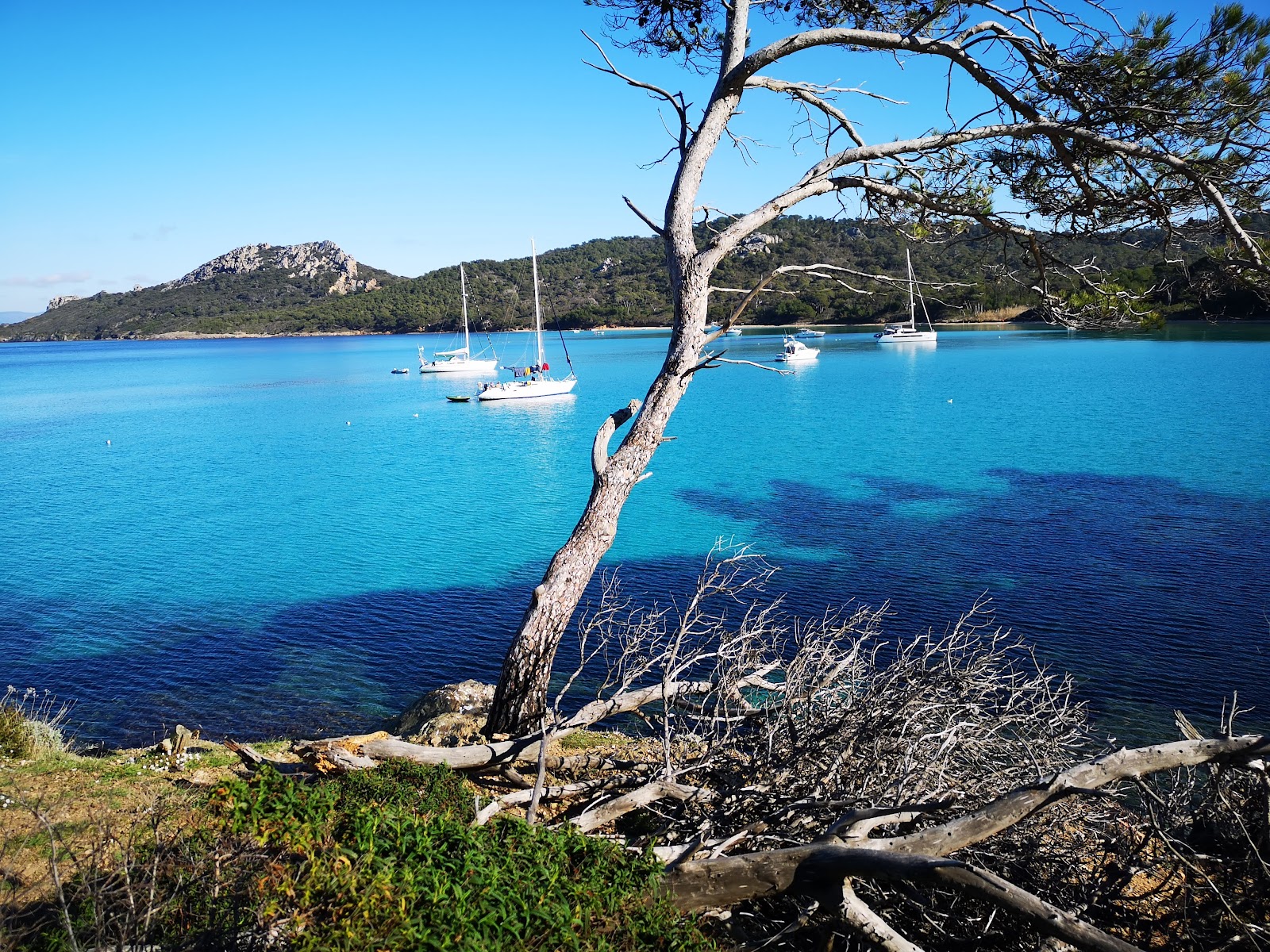 Porquerolles — Oficiais