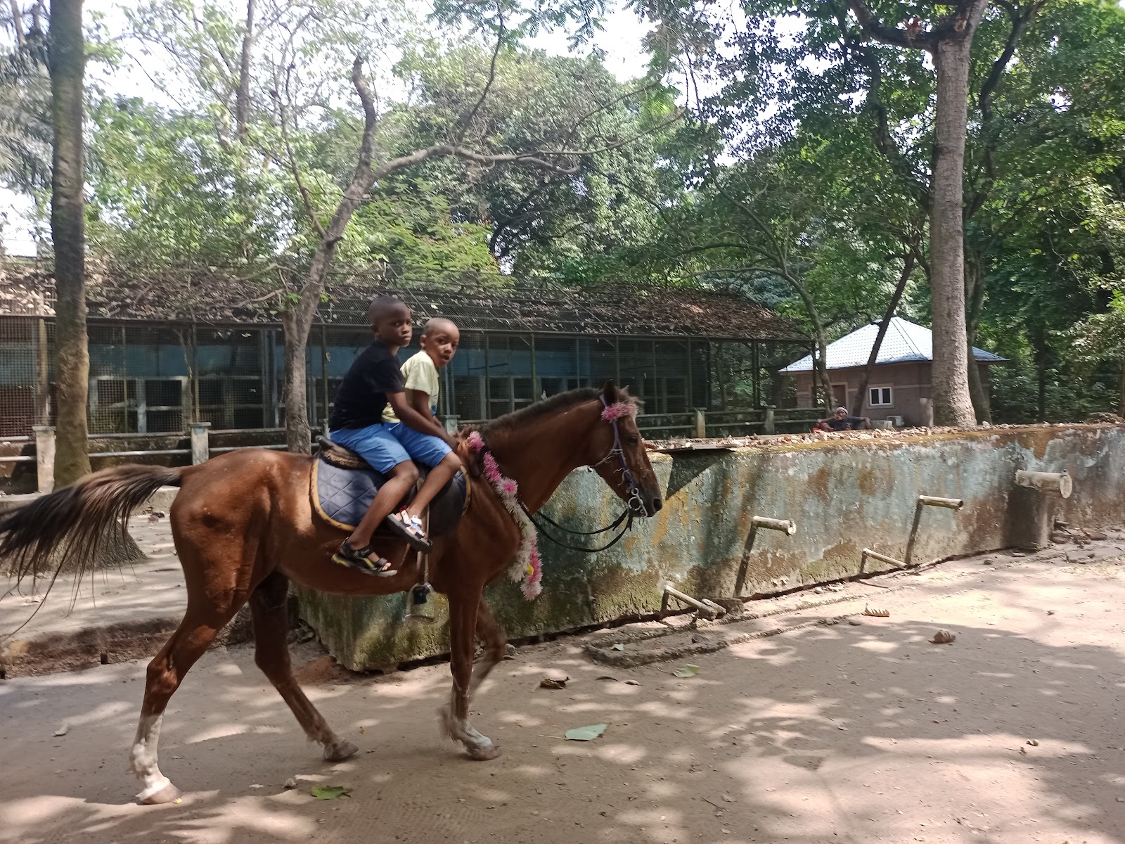 Port Harcourt Zoo — Oficiais