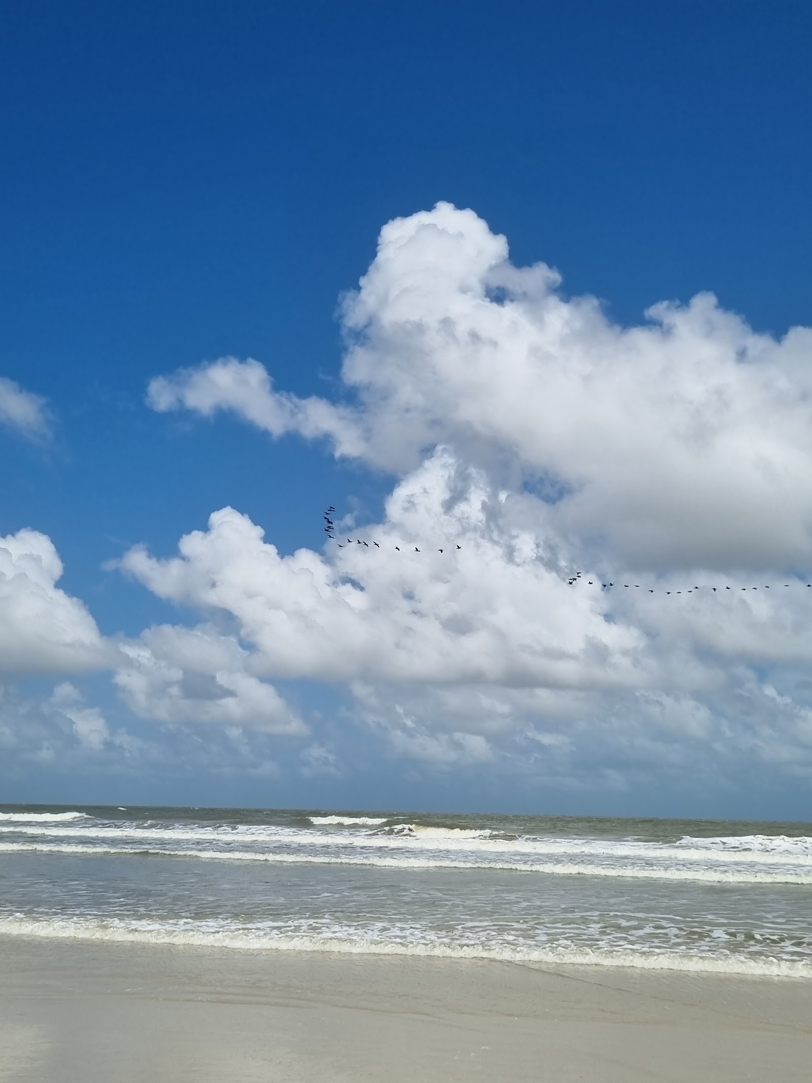 Praia da Princesa — Oficiais