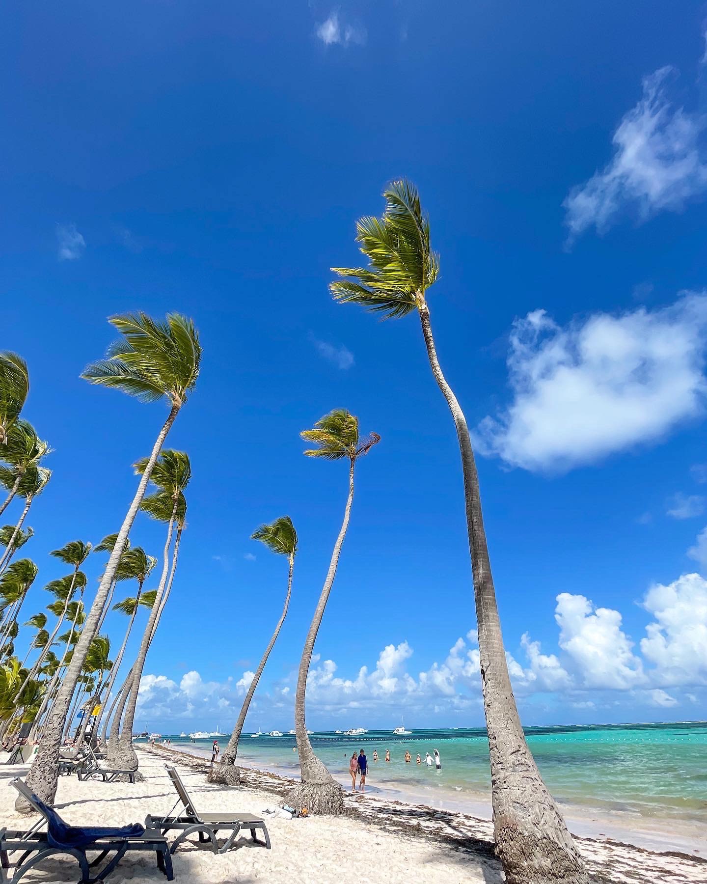 Praia de Bávaro — Oficiais