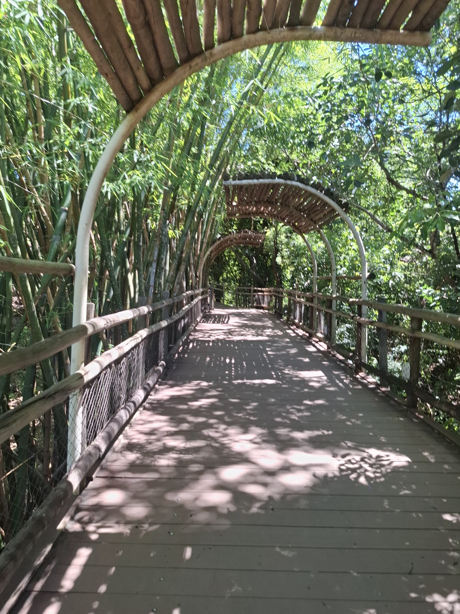 Praia do Cerrado — Oficiais