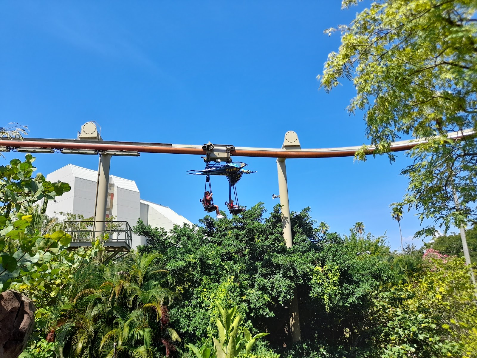 Pteranodon Flyers