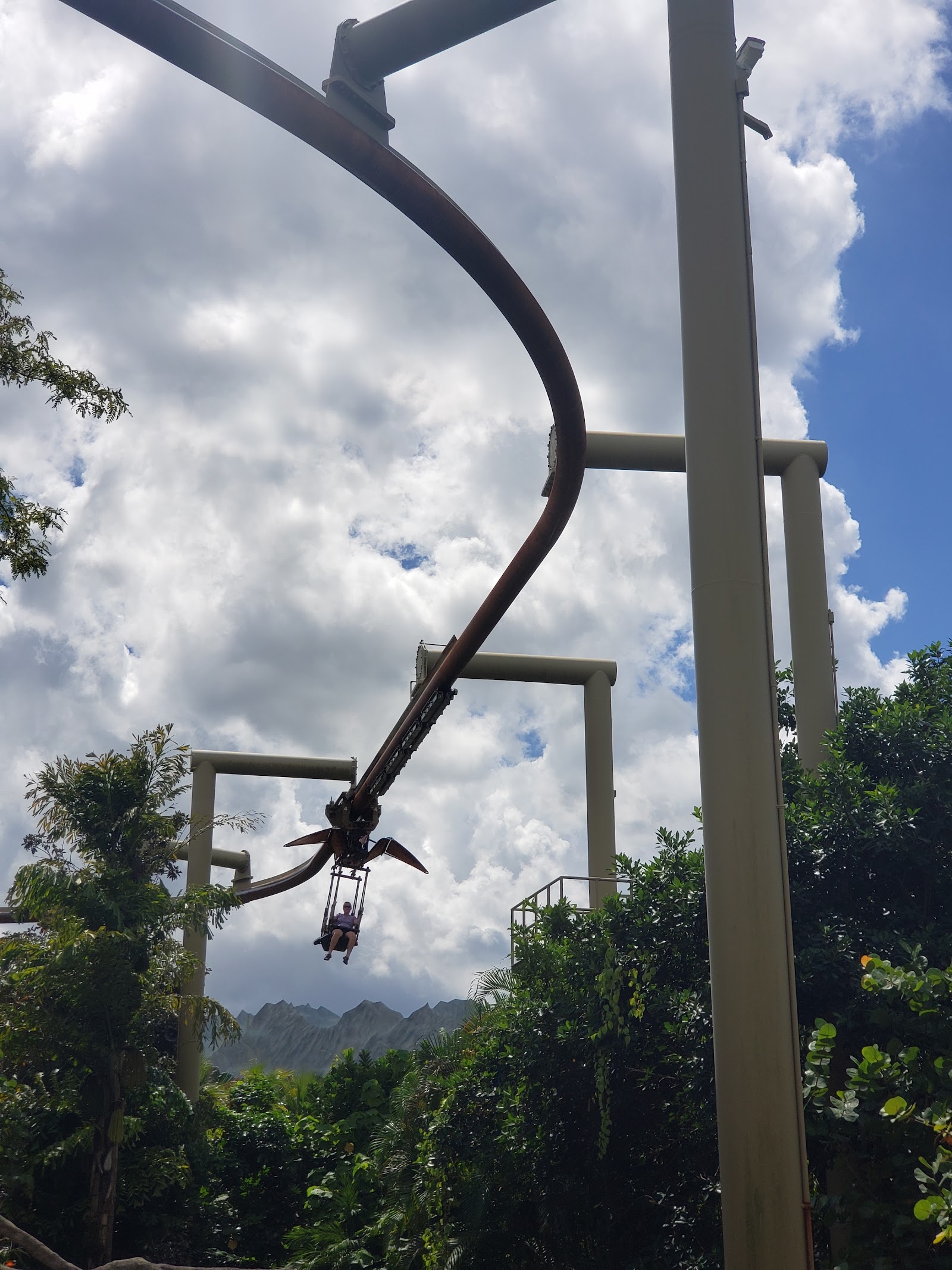 Pteranodon Flyers — Oficiais