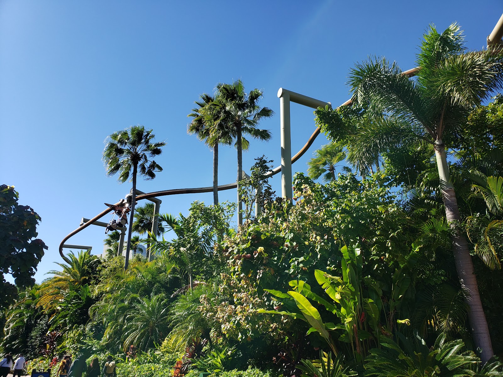 Pteranodon Flyers — Oficiais