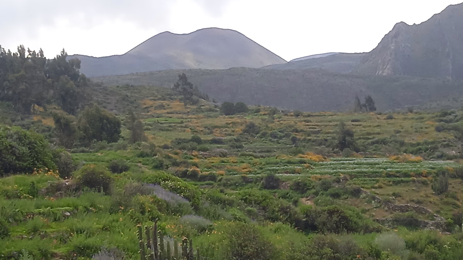 Pueblo de Andagua
