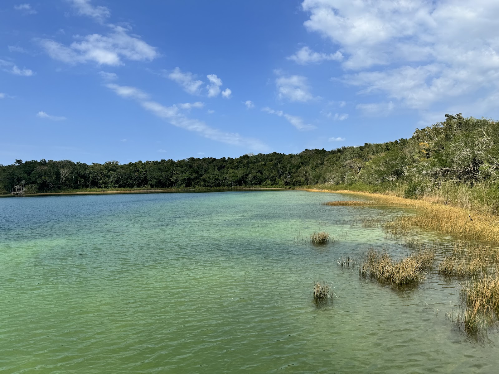 Punta Laguna — Oficiais