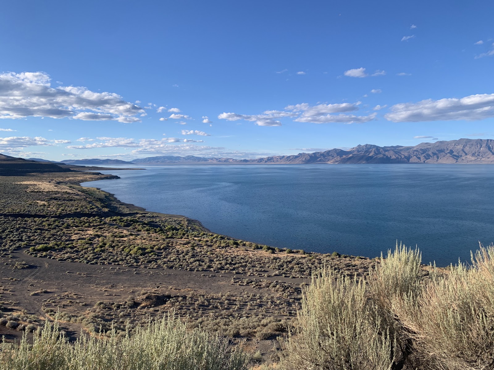 Pyramid Lake — Oficiais