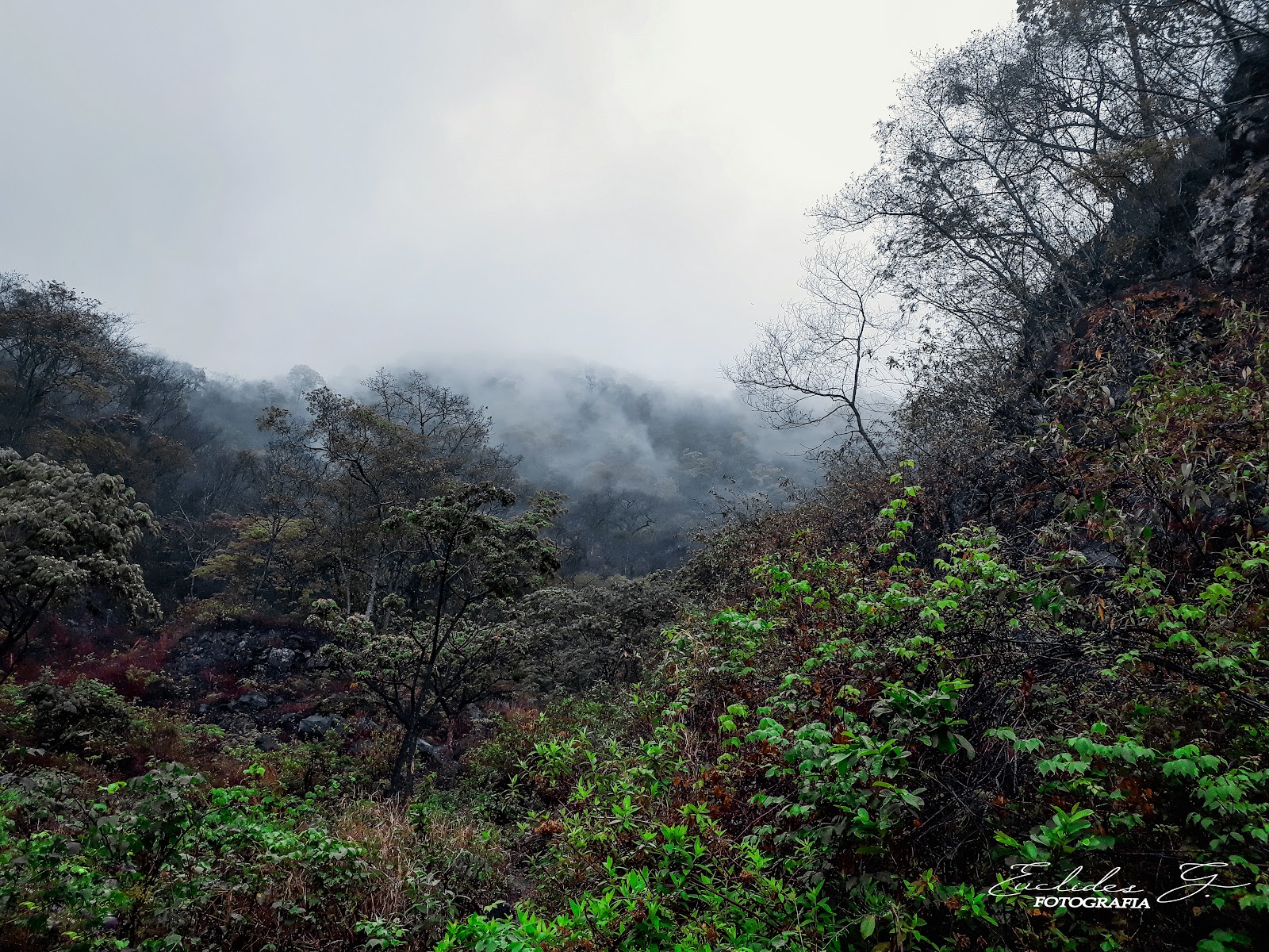 Quebrada de Santa Rosa — Oficiais