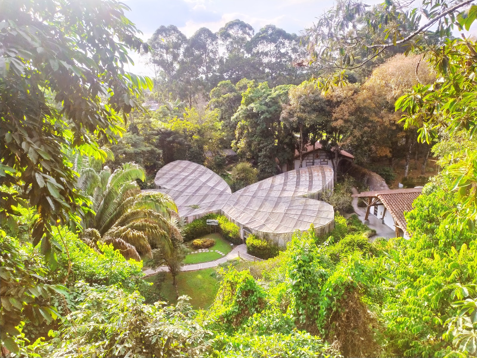 Quindío. Botanical Garden