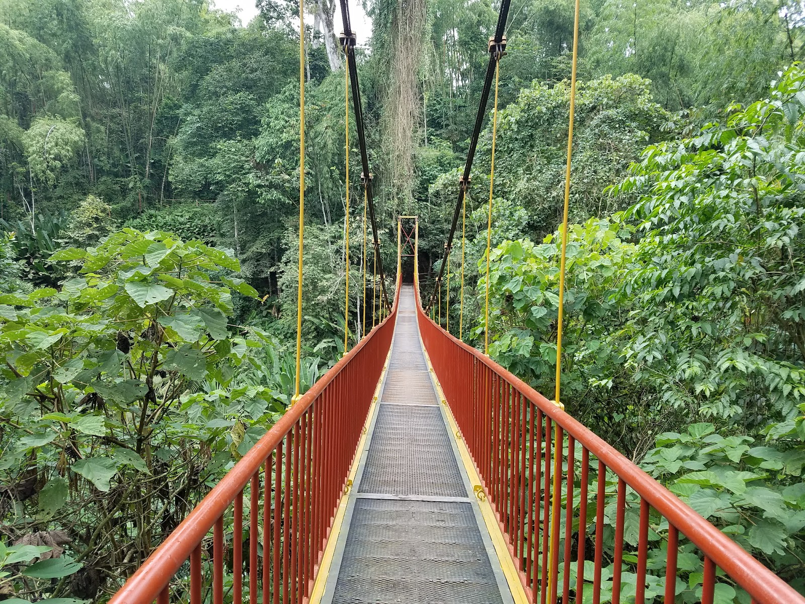 Quindío. Botanical Garden — Oficiais