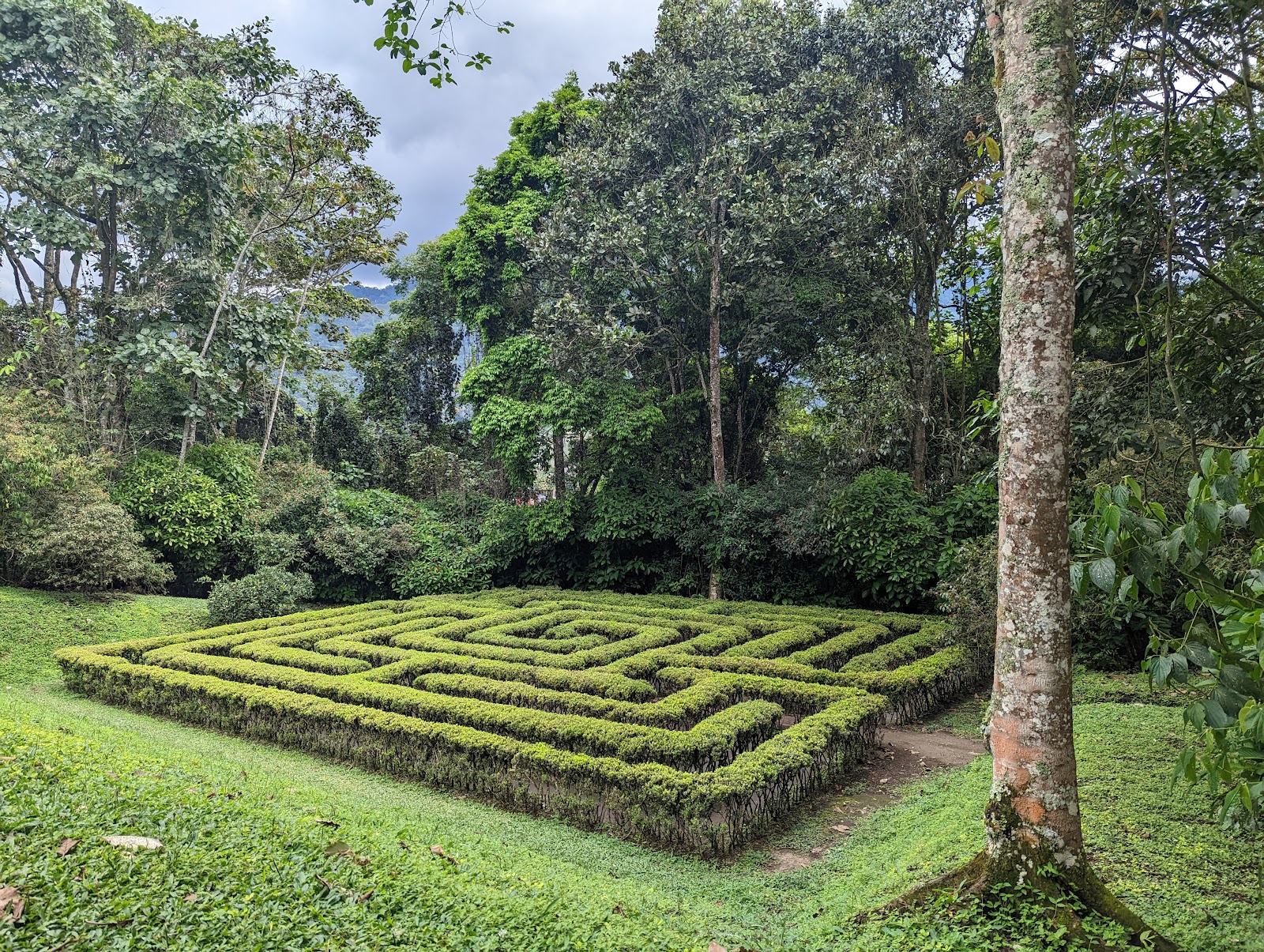 Quindío. Botanical Garden — Oficiais