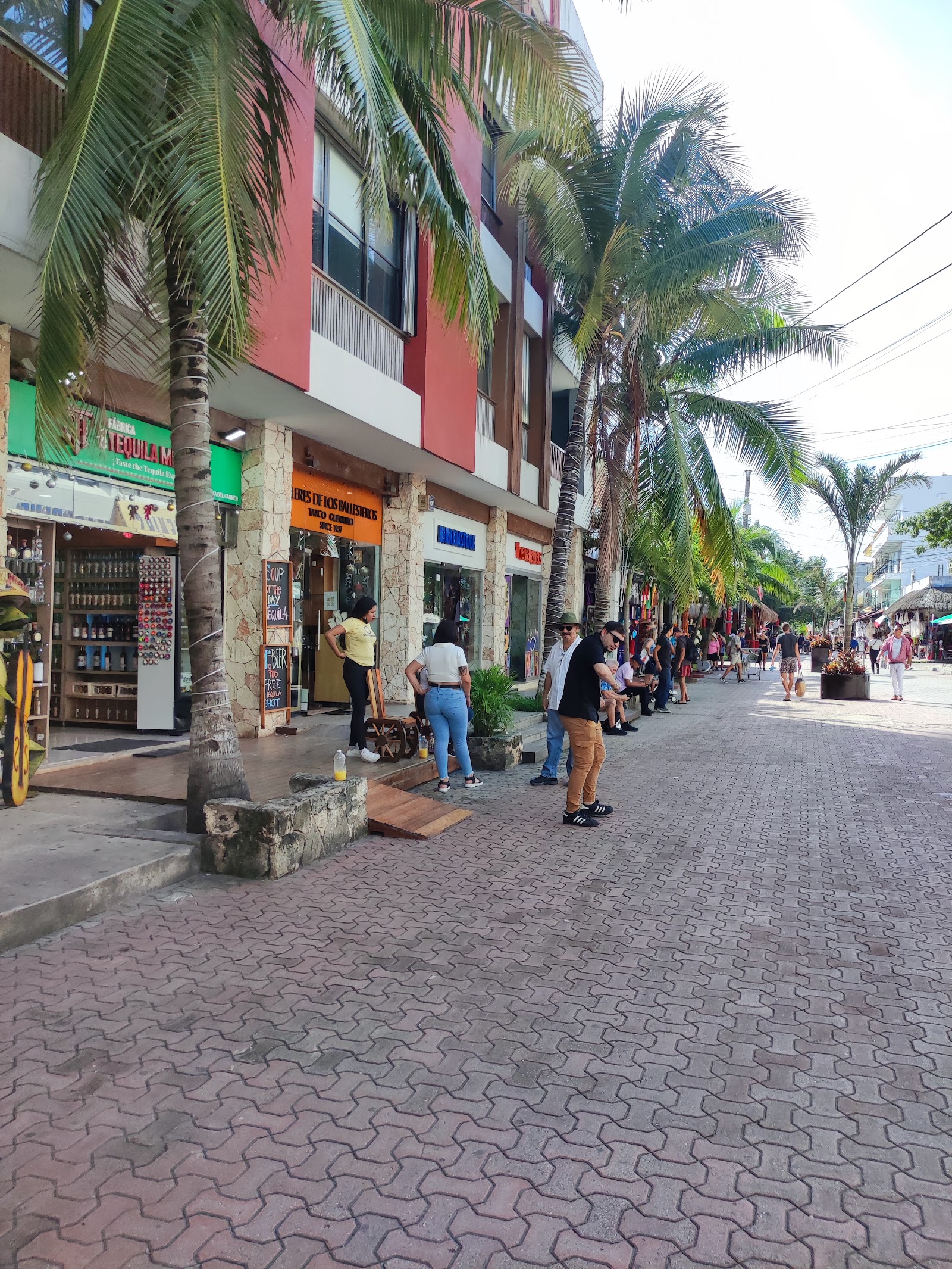 Quinta Avenida