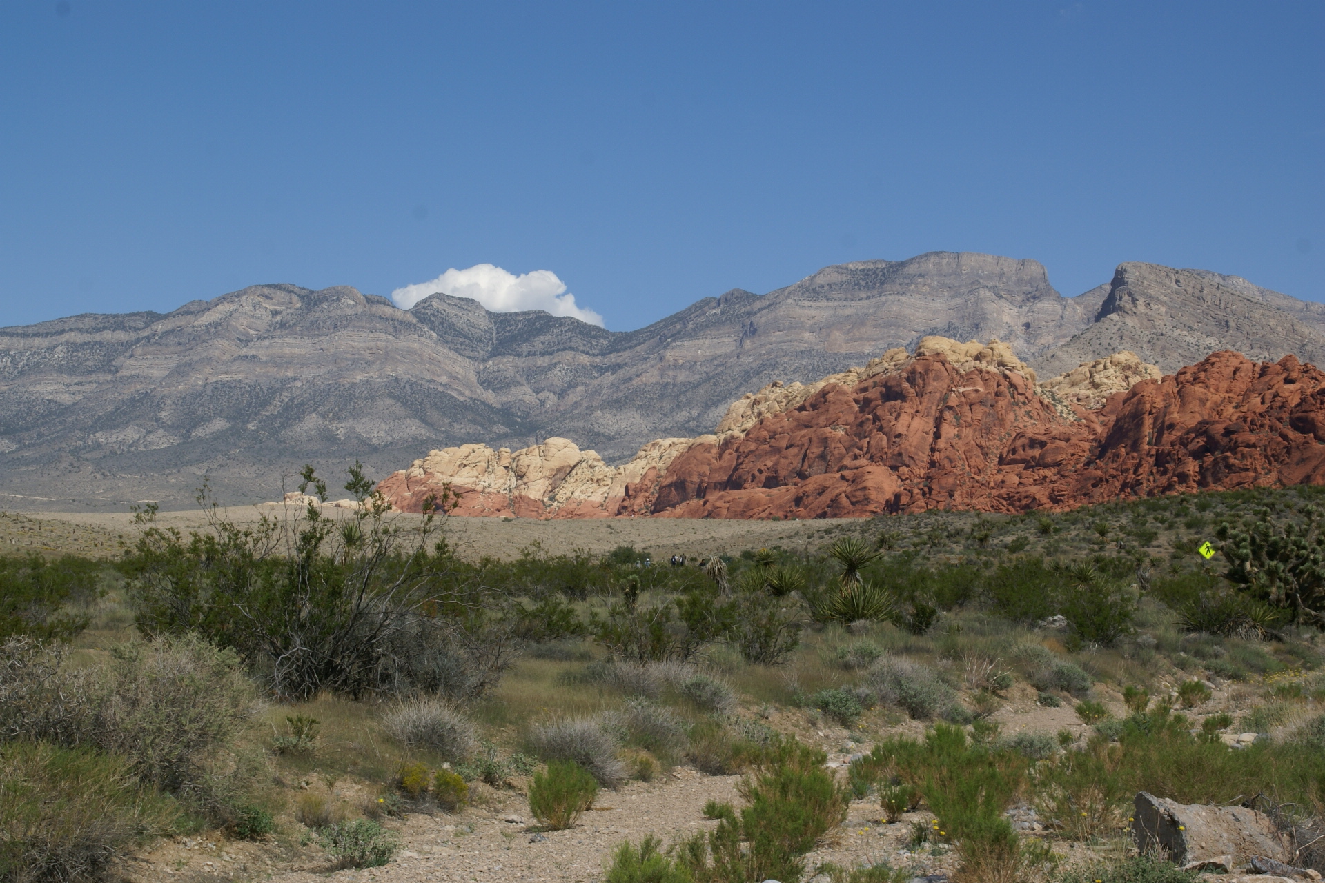 Red Rock Canyon Scenic Drive