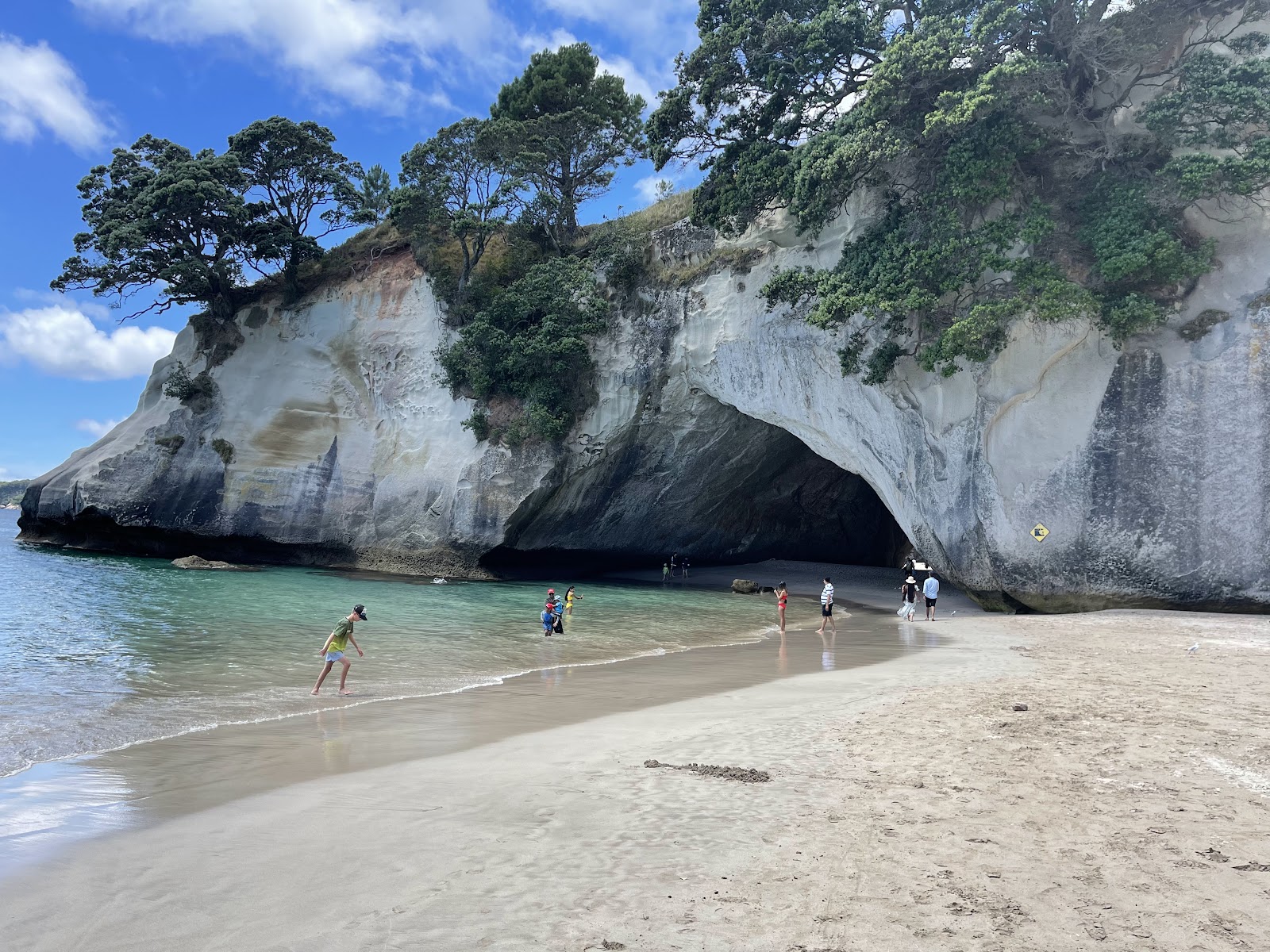 Reserva Marinha Te Whanganui-A-Hei — Oficiais