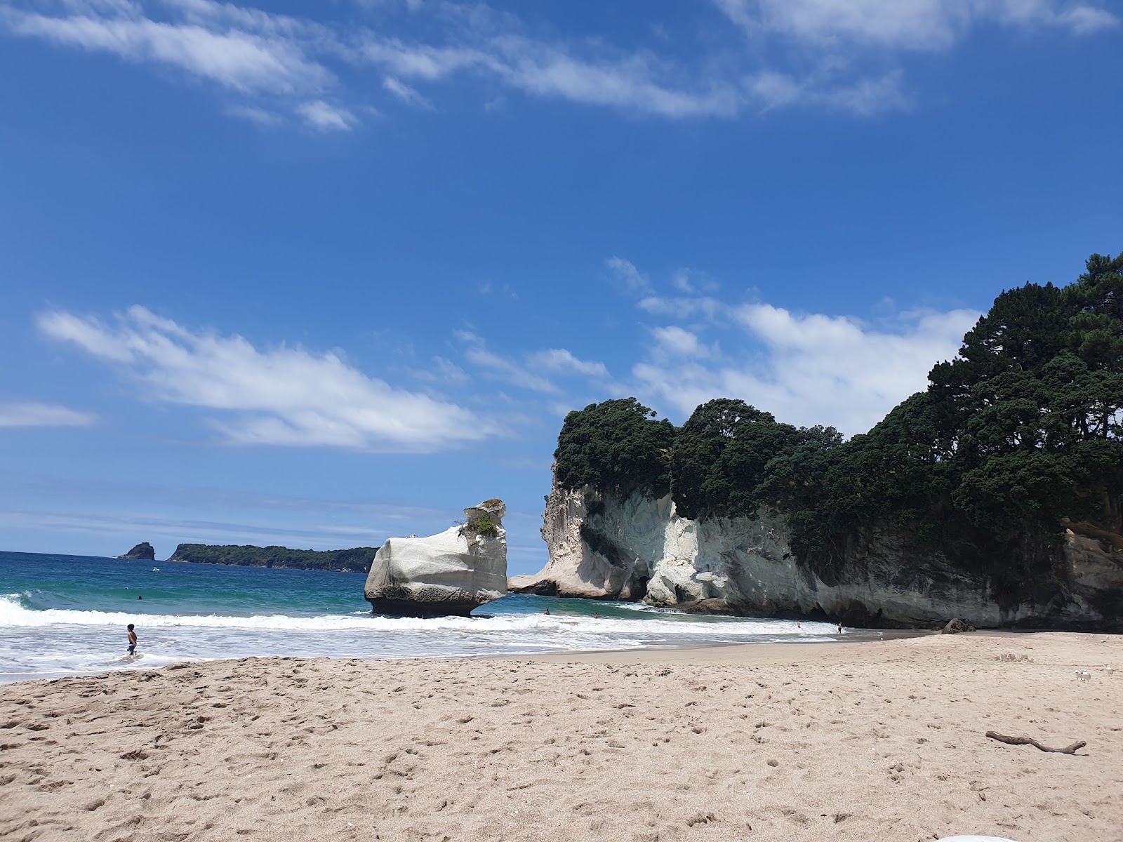 Reserva Marinha Te Whanganui-A-Hei — Oficiais