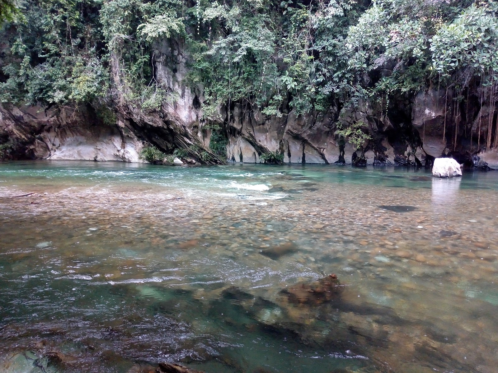 Reserva Natural Cañon Del Río Claro — Oficiais