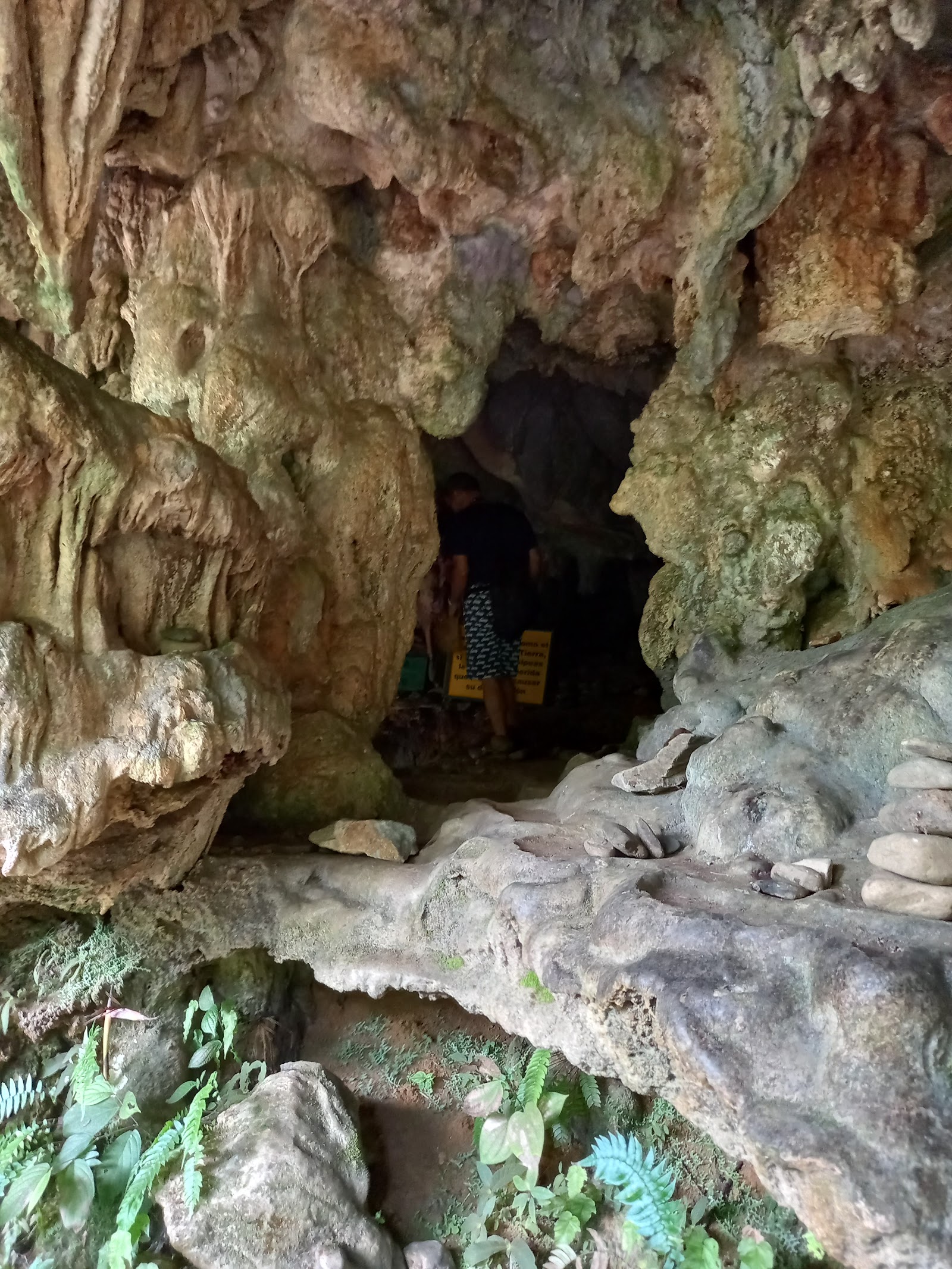 Reserva Natural Cañon Del Río Claro — Oficiais