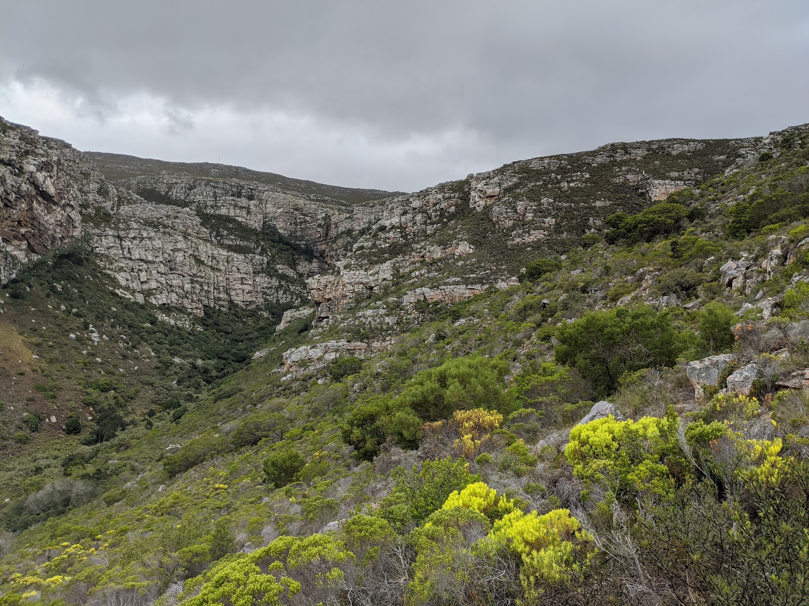 Reserva Natural de De Hoop — Oficiais