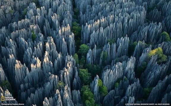 Reserva natural de Tsingy de Bemaraha — Oficiais