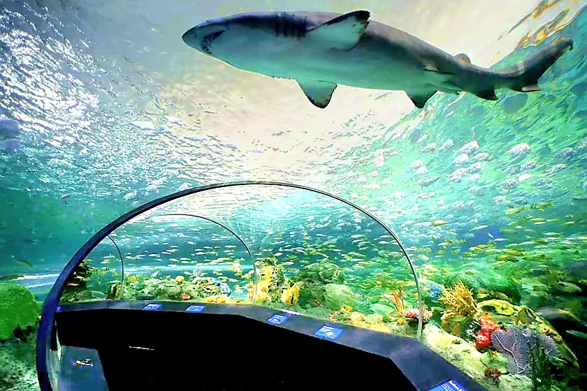 Ripley’s Aquarium of Canada — Oficiais