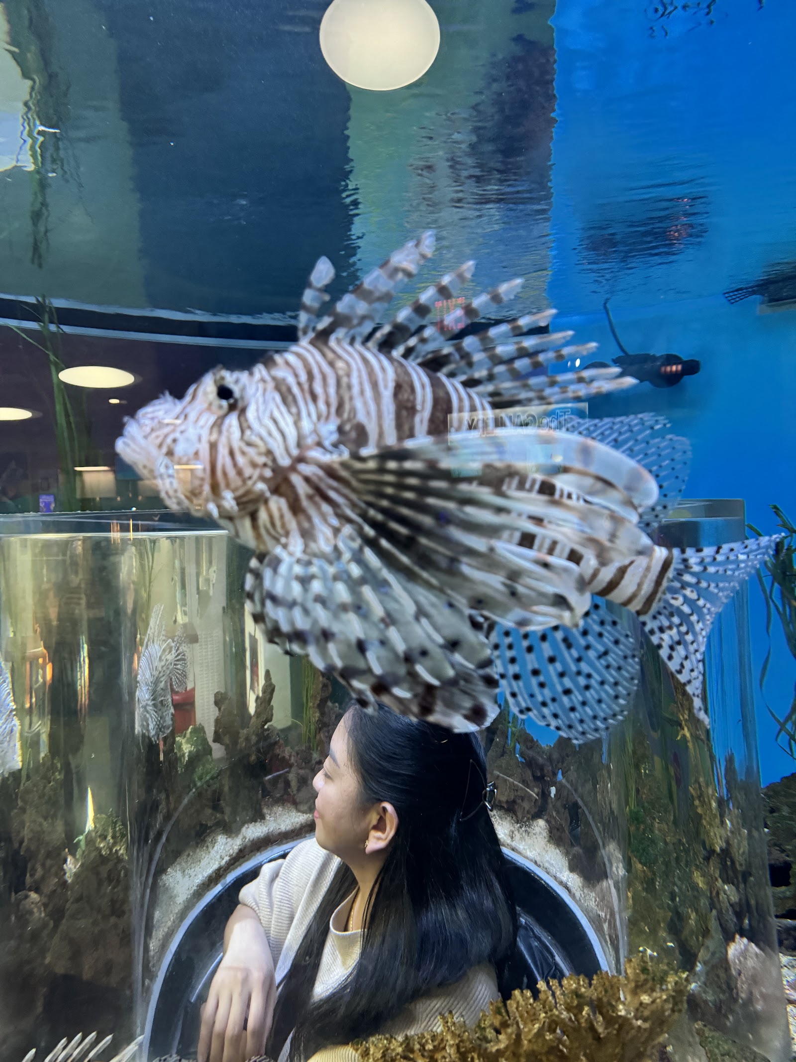 Ripley’s Aquarium of Canada — Oficiais