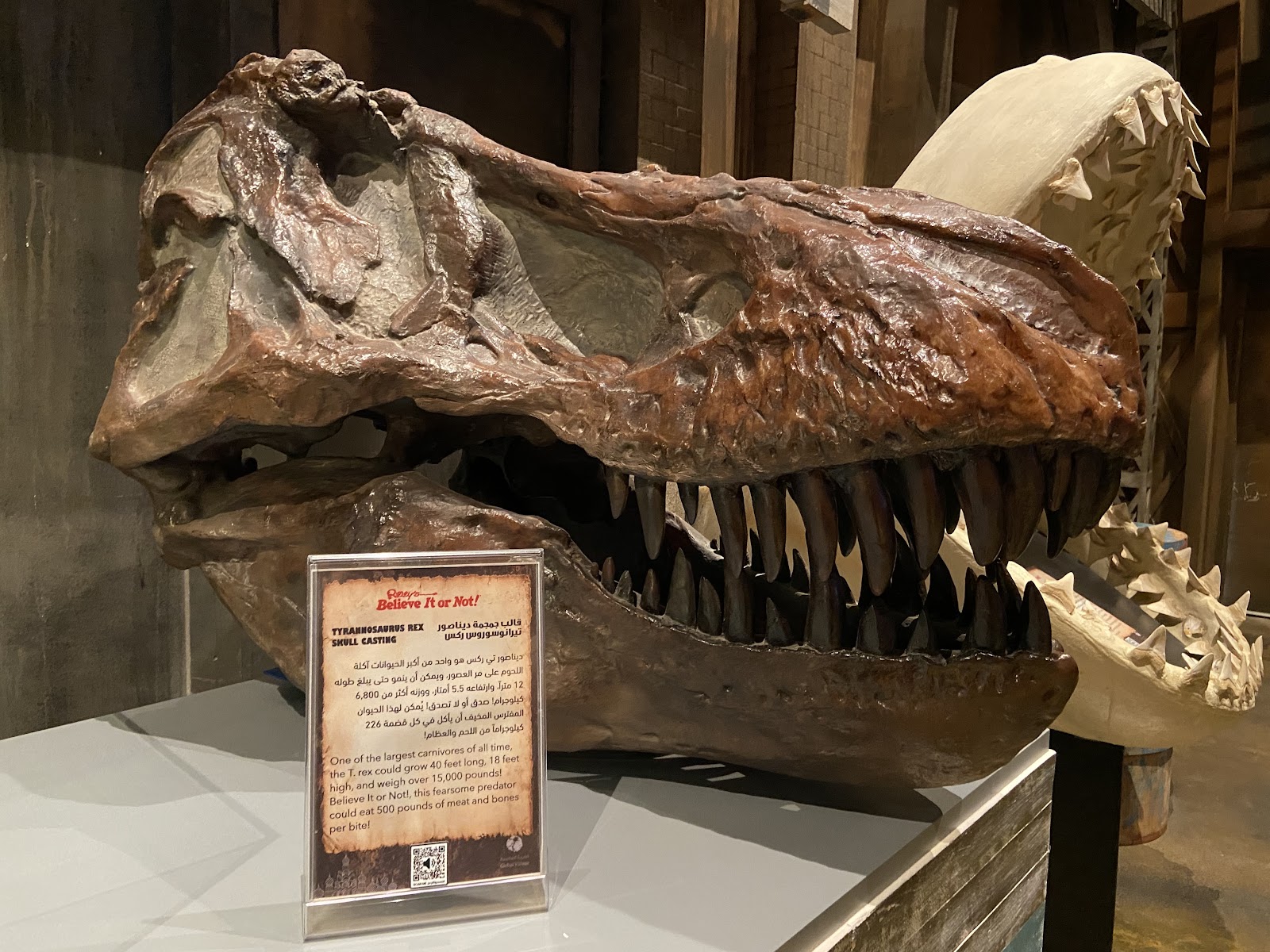 Ripley’s Believe It or Not! Odditorium — Oficiais