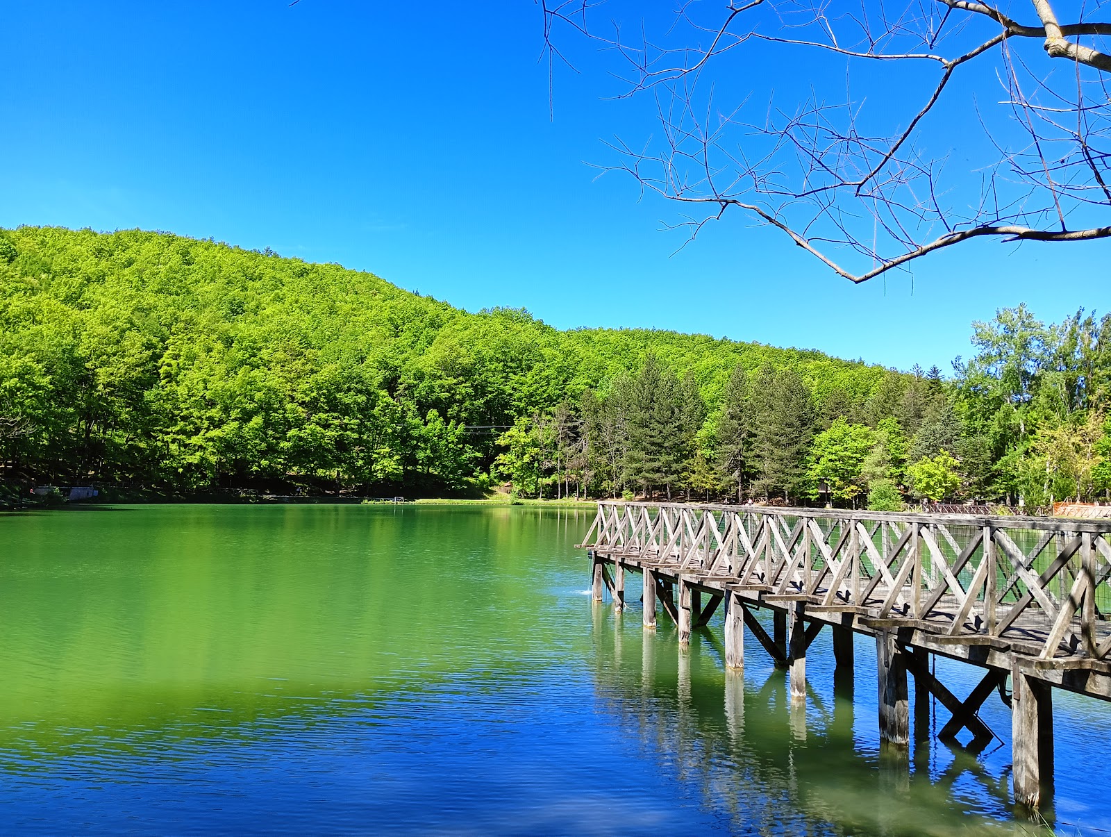 Riserva Naturale Sasso di Simone e Simoncello — Oficiais
