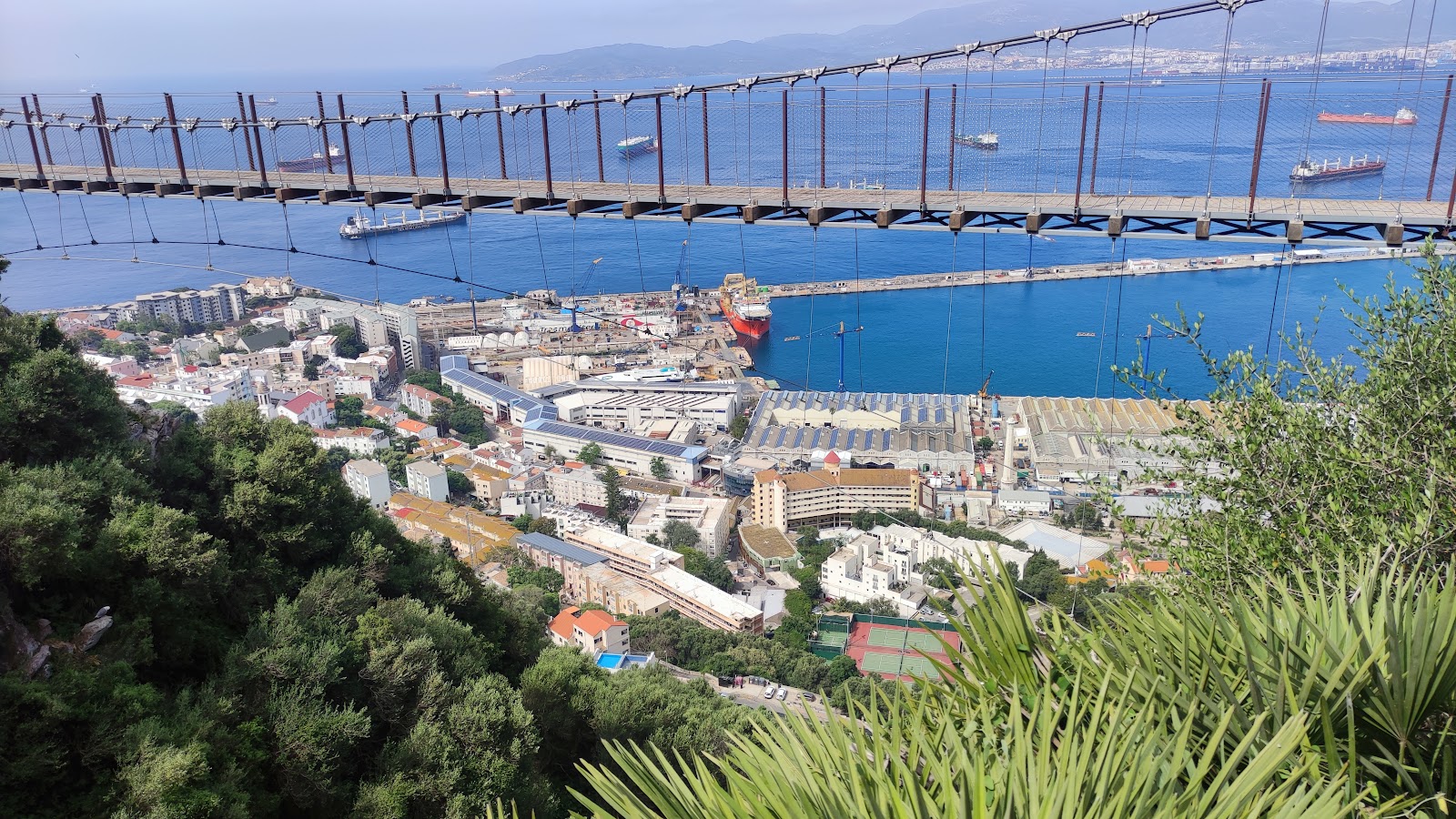 Rochedo de Gibraltar — Oficiais