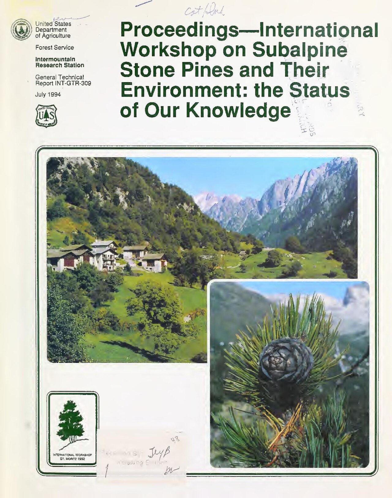 Root Slides