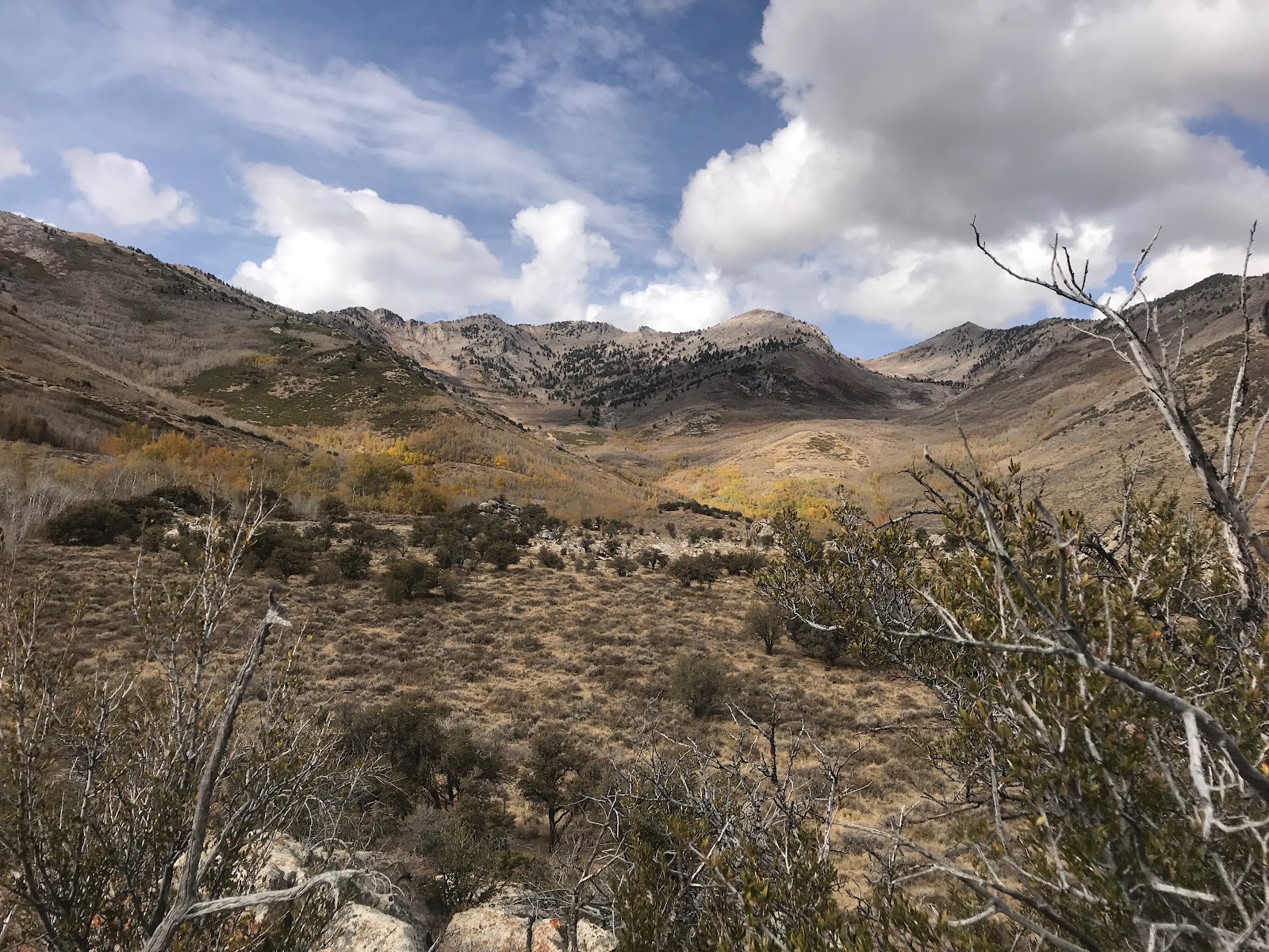 Ruby Mountains — Oficiais