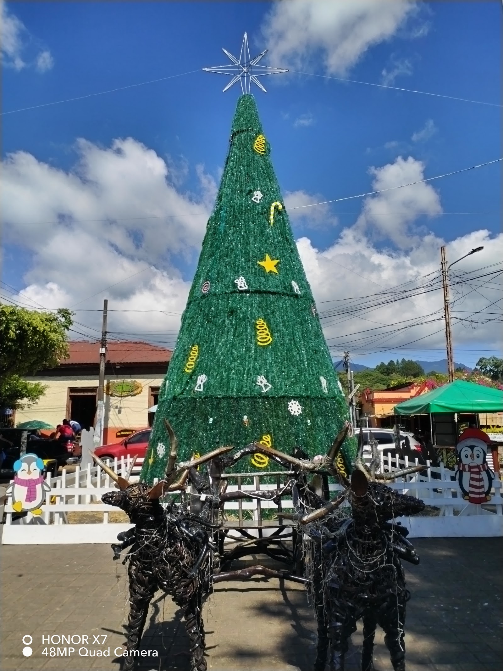 Ruta de las Flores — Oficiais