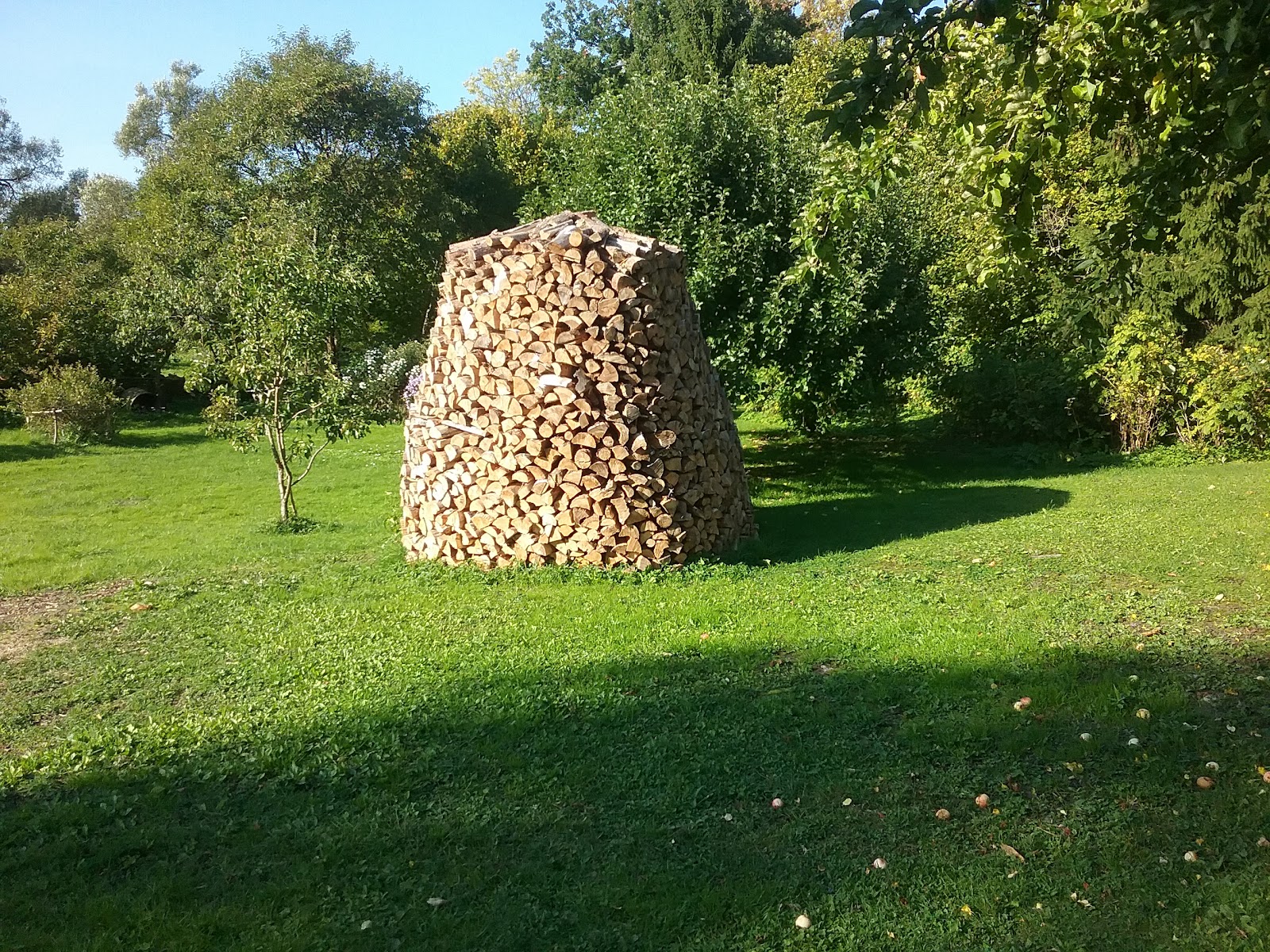 Saaremaa — Oficiais