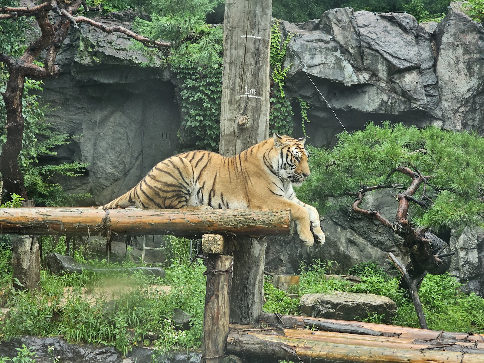 Safari World