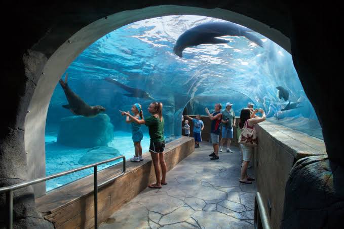 Saint Louis Zoo — Oficiais