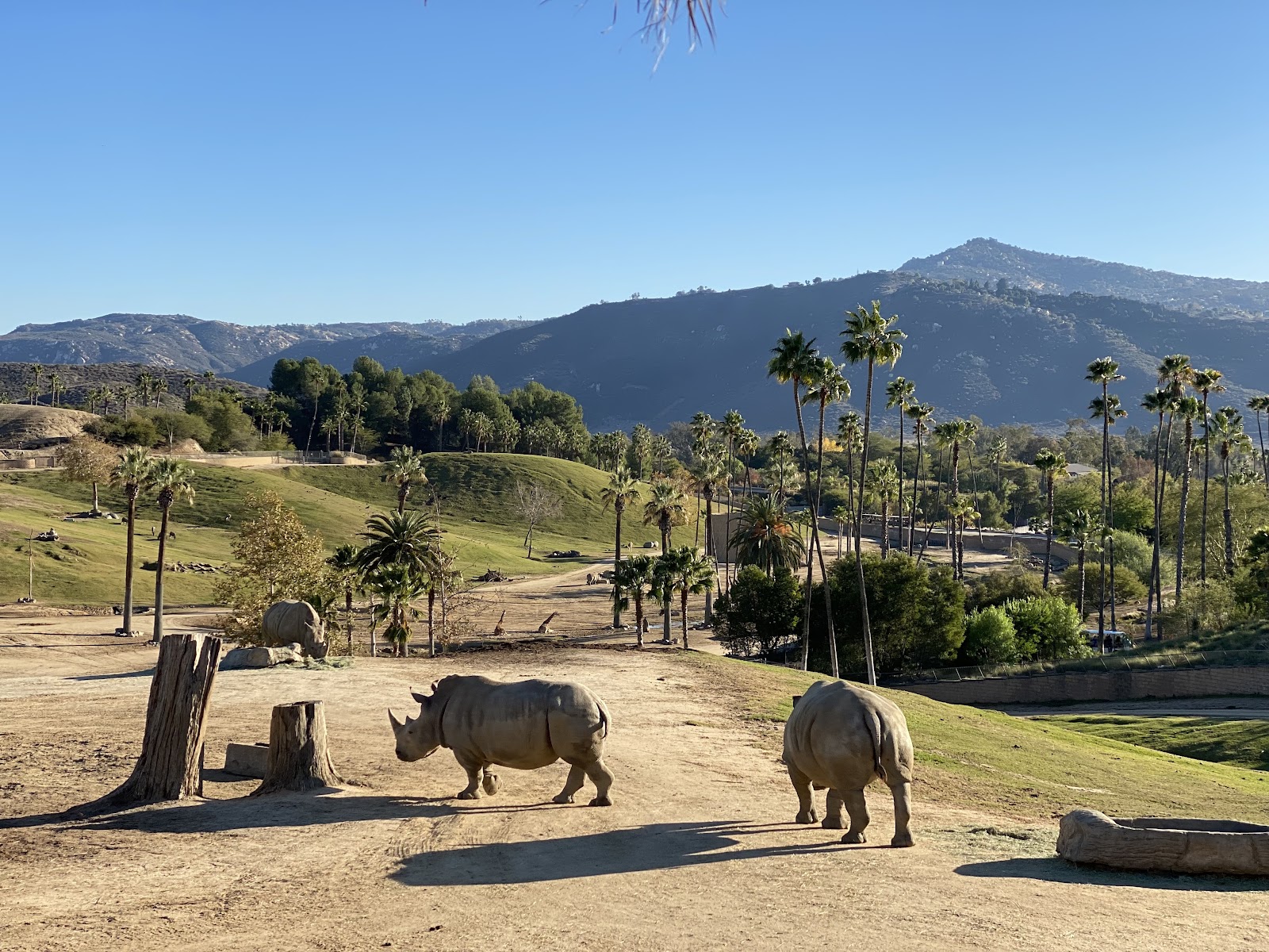 San Diego Wild Animal Park — Oficiais