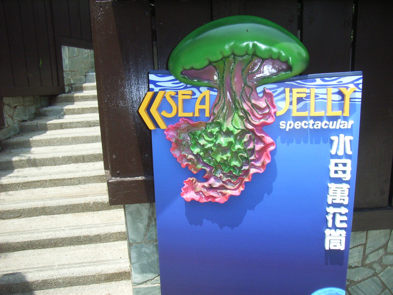 Sea Jelly Spectacular